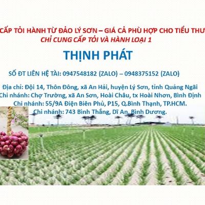 Thinh Phat Store
