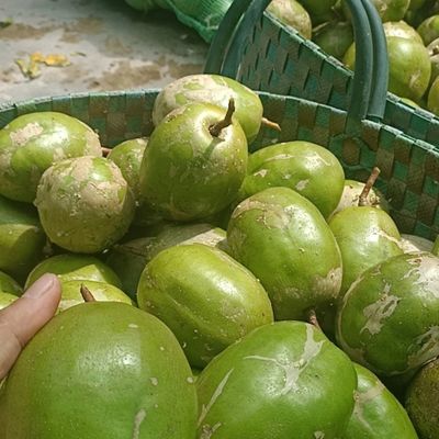 trái cây hoa quả