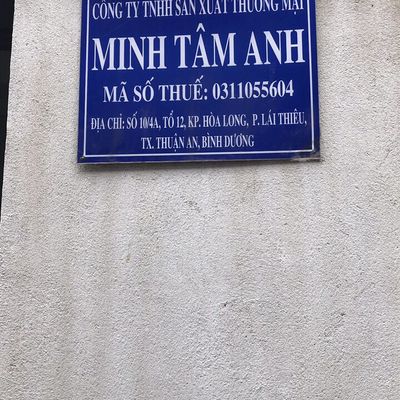 Minh Tâm Anh