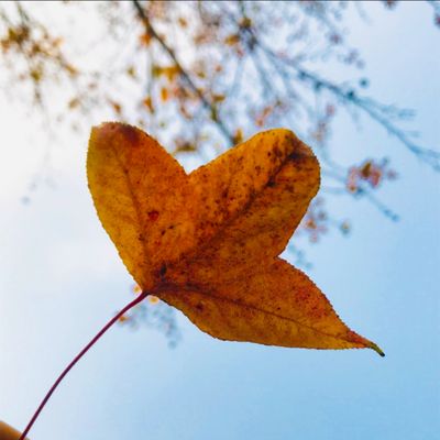 HoKi - Chuyên sỉ lẻ quần áo