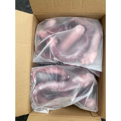 Sỉ râu mực khủng lồ - Thùy Linh