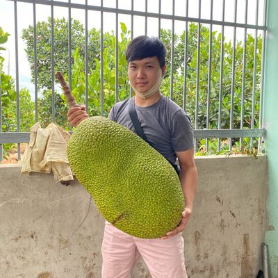 Vựa Trái Cây Khánh Băng