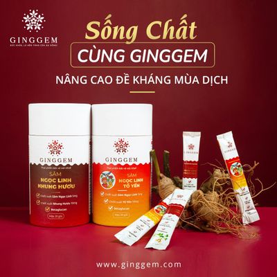 Sâm Ngọc Linh Ginggem