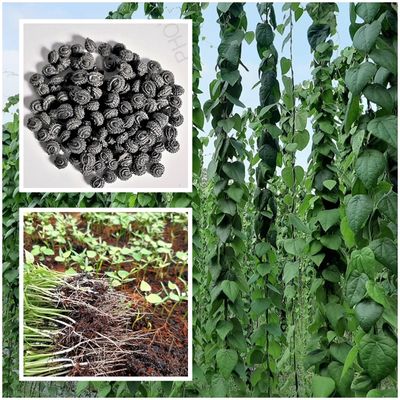 Greenmart