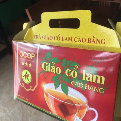 Trà giảo cổ lam Cao Bằng (túi lọc)