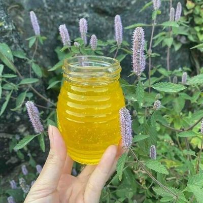 đặc sản núi rừng