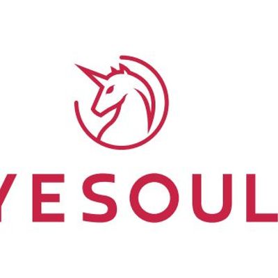 YESOULVIETNAM 