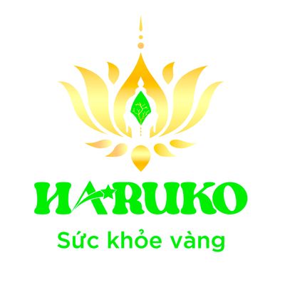 Ghế Massage Haruko.vn