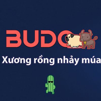 Budo