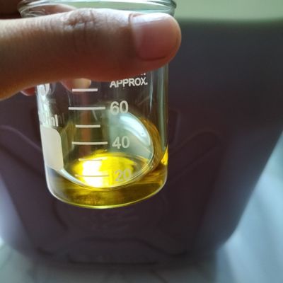 Cty TNHH Thủy Anh Tamanu