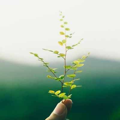 VLXD Sỉ Lẻ Toàn Quốc
