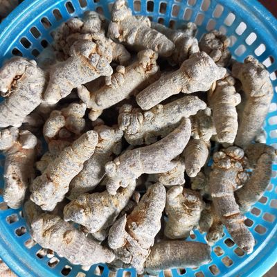 Chuyên sỉ Tam thất bắc