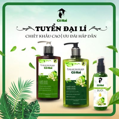 Dầu gội dược liệu- Dầu gội Bưởi Cô Hai
