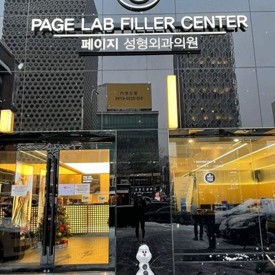 Page Lab Company