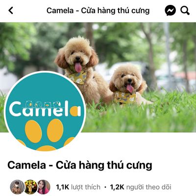 Cửa hàng thú cưng Camela