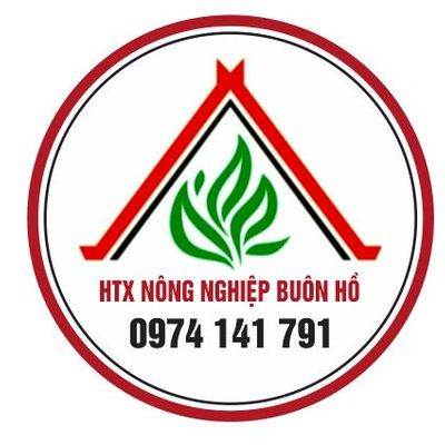 HTX Nông Nghiệp Buôn Hồ