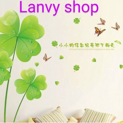 Lanvy Shop