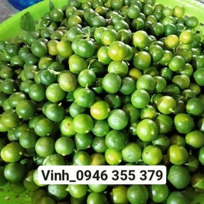 Nông sản giá sỉ Vinh