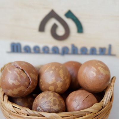 Xưởng hạt macca Phố Núi