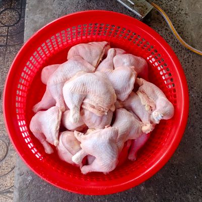 Ngọc Hương - Ngọc Hương