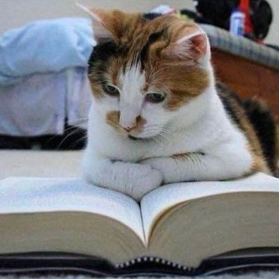 Bình Nguyên Vô Tận