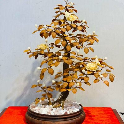 Thực phẩm an toàn tp.hcm