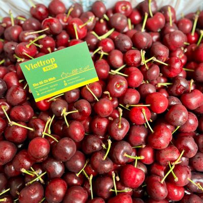 Viettrop FRUIT - Trái Cay Nhập Khẩu Cao Cấp