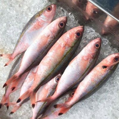 Đặc Sản Quê Nhà