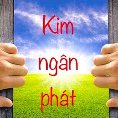 Kim Ngân Phát Co