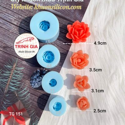 CÔNG TY KHUÔN MẪU TRỊNH GIA