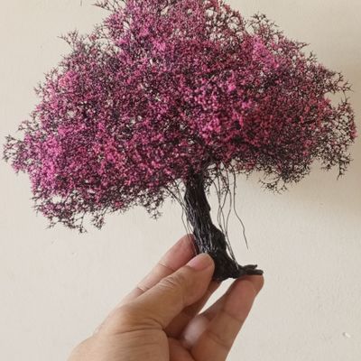 TIỂU CẢNH MINI
