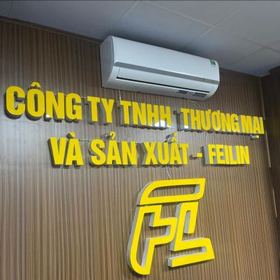 Tổng kho vợt Pickleball Fei Lin chính hãng