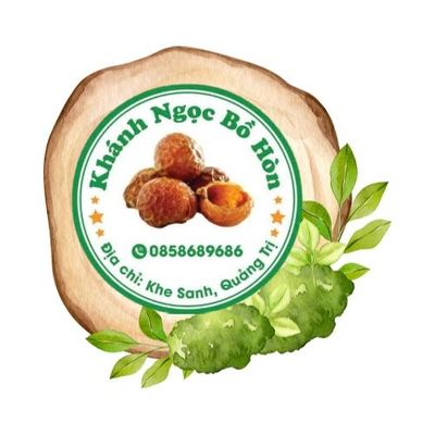 Bồ Hòn Hướng Hoá