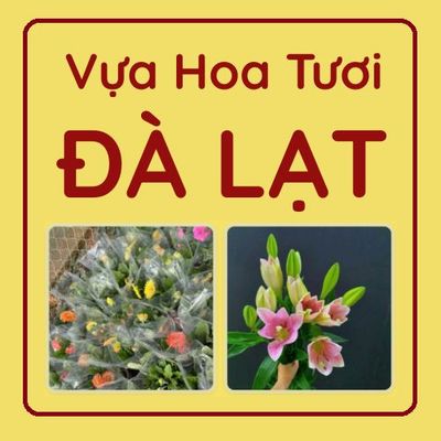 Vựa Hoa Tươi Đà Lạt