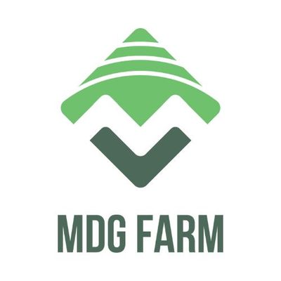 Nhà phân phối sầu riêng MDG FARM