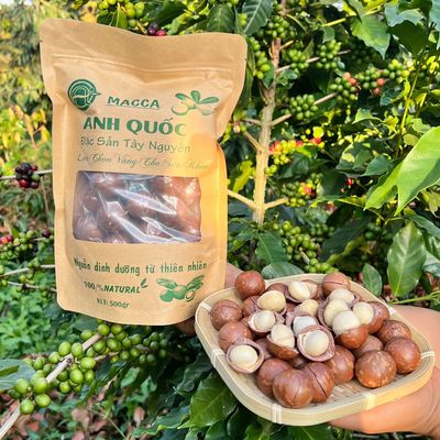 Macca Đắk Lắk 47