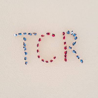 Xuân Hoa - TCR Holdings