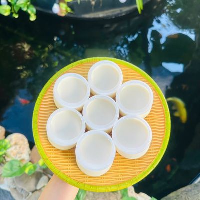 Sữa Chua Ngon Sỉ