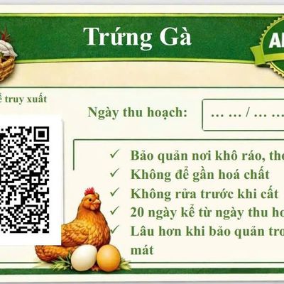 Trứng gà - Đơn Dương