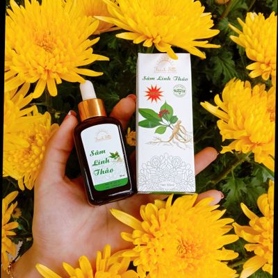Sâm Linh Thảo_ phục hồi điều trị da hư tổn