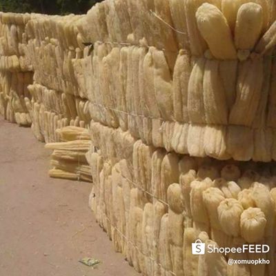 Xơ mướp nguyên liệu
