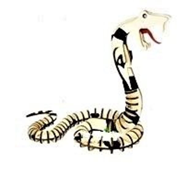 Mô hình nuôi rắn hổ mang thu tiền tỷ  Niên Giám Nông Nghiệp