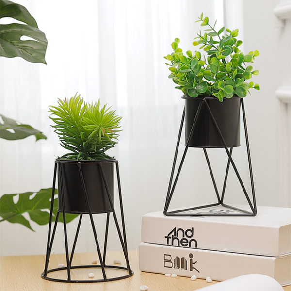 Chậu cây cảnh bằng sứ để bàn trang trí Decor Store giá sỉ, giá bán buôn - Thị Trường Sỉ Chậu cây cảnh bằng sứ để bàn trang trí Decor Store giá sỉ, giá bán buôn - Thị Trường Sỉ