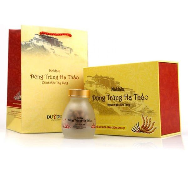 Đông Trùng Hạ Thảo Maldala Duy Đức Đông Trùng Hạ Thảo Maldala Duy Đức