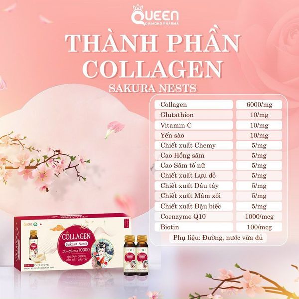 Collagen Sakura Nests là gì?
