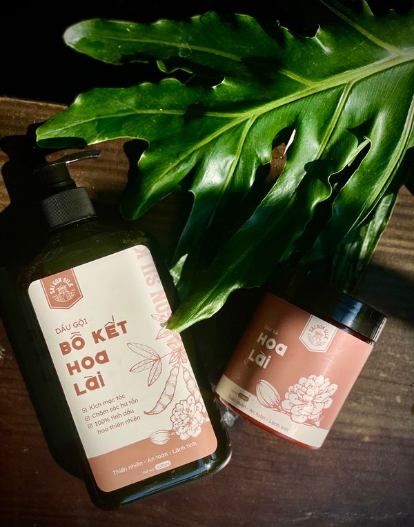 GỘI BỒ KẾT HOA LÀI GỘI BỒ KẾT HOA LÀI