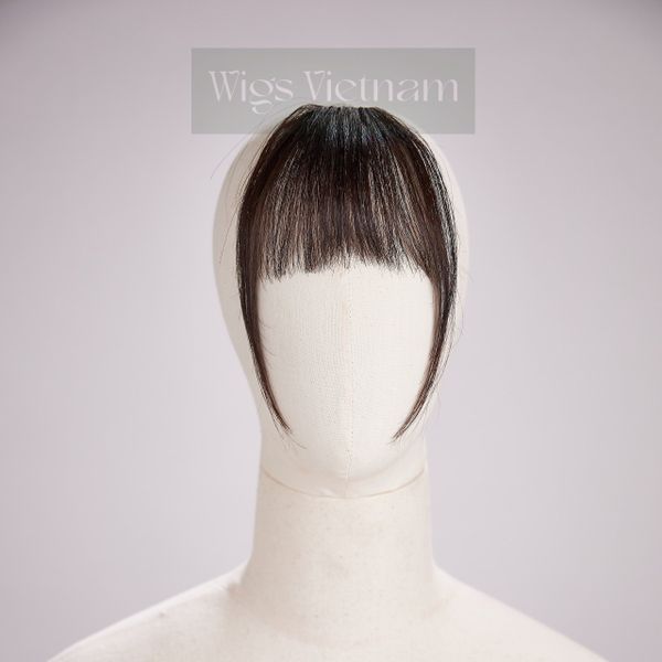 Royal Hair - Nhà Thiết Kế Tóc Giả Bằng Tóc Thật Đầu Tiên Tại Việt Nam