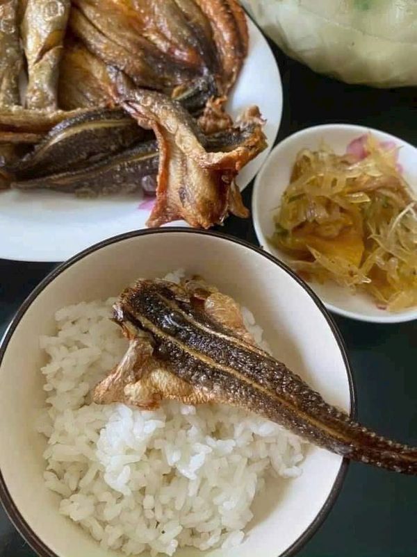 KHÔ CÁ LÓC ĐỒNG CỬNG NGUYÊN CON LOẠI NGON 500G - WINNIE HOUSE KHÔ CÁ LÓC ĐỒNG CỬNG NGUYÊN CON LOẠI NGON 500G - WINNIE HOUSE