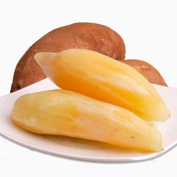 Khoai Sâm Đất Giá Sỉ - HẾT MÙA 2023 giá sỉ, giá bán buôn - Thị Trường Sỉ