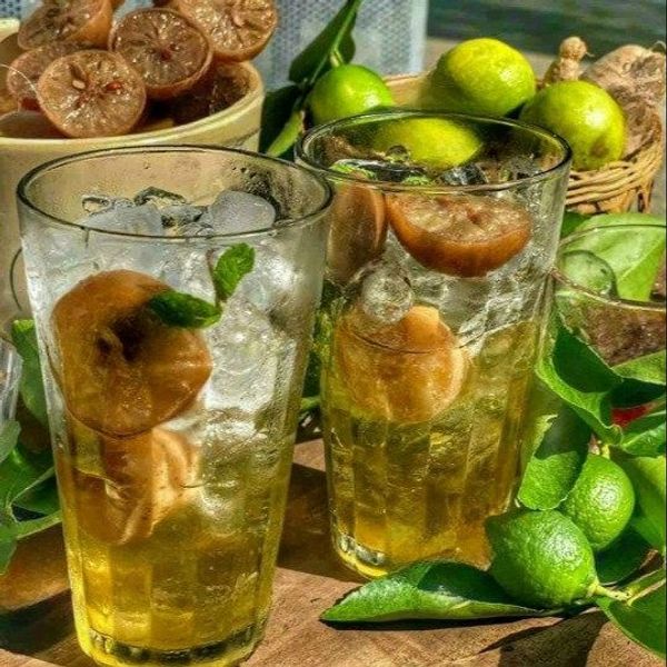 CHANH MUỐI NGÂM ĐƯỜNG PHÈN GIẢI NHIỆT NGÀY NẮNG NÓNG - WINNIE HOUSE CHANH MUỐI NGÂM ĐƯỜNG PHÈN GIẢI NHIỆT NGÀY NẮNG NÓNG - WINNIE HOUSE